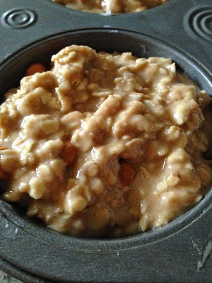 oatmeal scotchie 