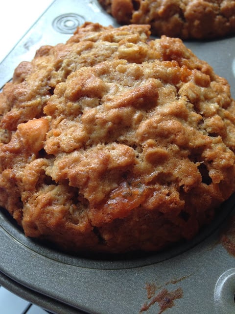 Oatmeal Scotchie Muffins