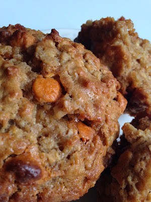Oatmeal Scotchie Muffins