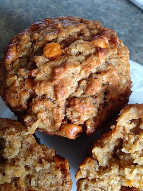 Oatmeal Scotchie Muffins oatmeal scotchie