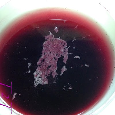 Mulberry Season Brings Mulberry Syrup mulberry season