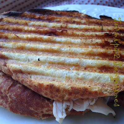 Turkey Havarti Bacon Panini turkey harvarti