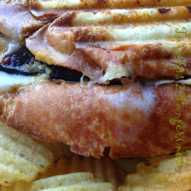 Turkey Havarti Bacon Panini