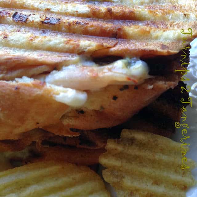 Turkey Havarti Bacon Panini