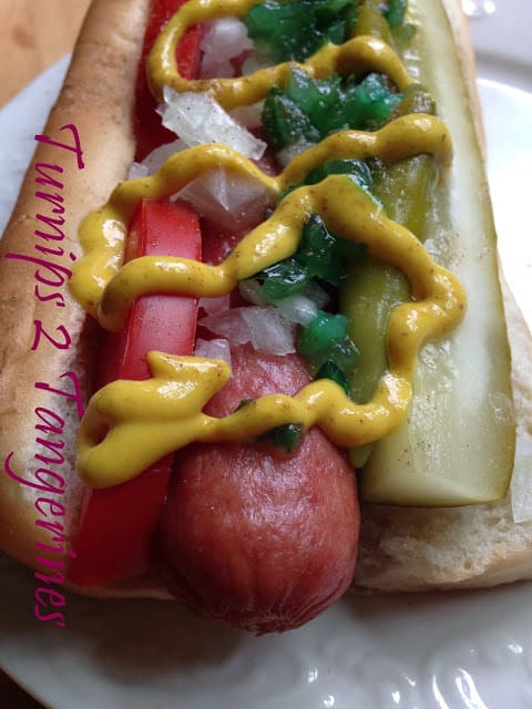 Chicago Style Hot Dog