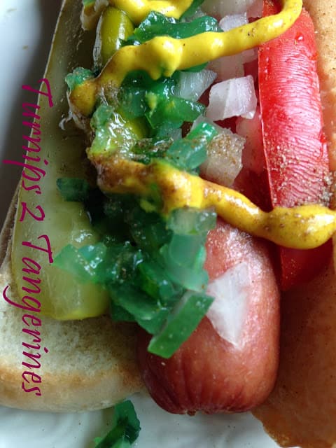 Chicago Style Hot Dog