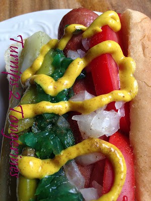 Chicago Style Hot Dog