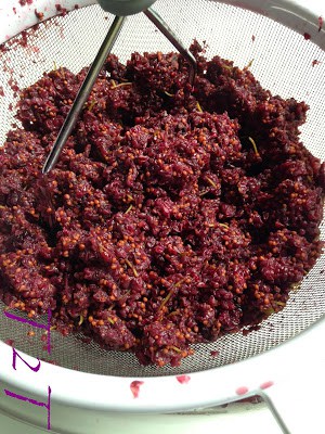 Mulberry Season Brings Mulberry Syrup mulberry season