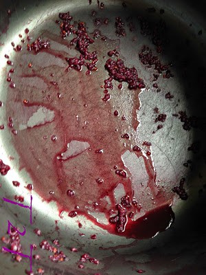 Mulberry Season Brings Mulberry Syrup