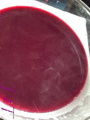 Mulberry Season Brings Mulberry Syrup mulberry season