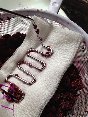Mulberry Season Brings Mulberry Syrup