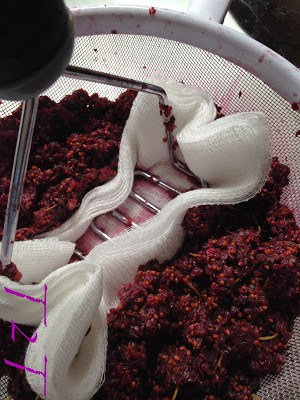 Mulberry Season Brings Mulberry Syrup mulberry season