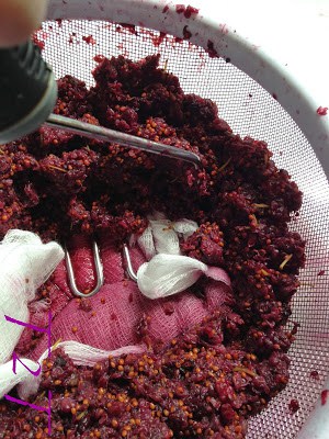 Mulberry Season Brings Mulberry Syrup