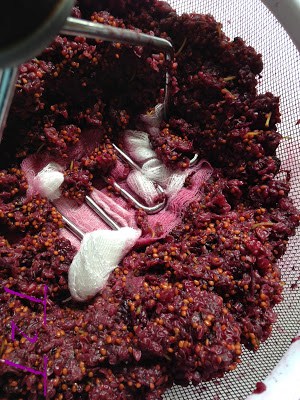 Mulberry Season Brings Mulberry Syrup