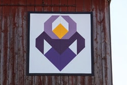 Pattered: Iris Rainbow. Shawano County’s 130th. Barn built in 1904, Cecil WI barn quilts of wisconsin