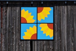 Pattern: Sunflowers. On the same barn as Iris Rainbow. Barn built in 1904, Cecil WI barn quilts of wisconsin