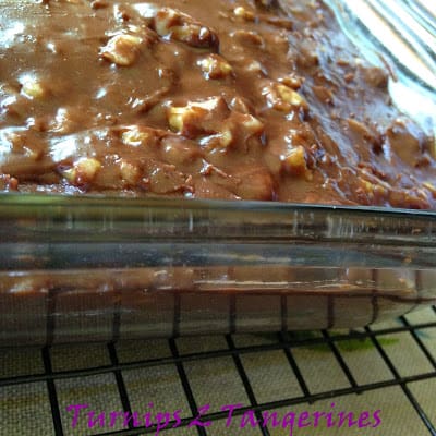 Chocolate Cake with Chocolate Walnut Frosting chocolate cake