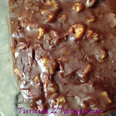 Chocolate Cake with Chocolate Walnut Frosting chocolate cake