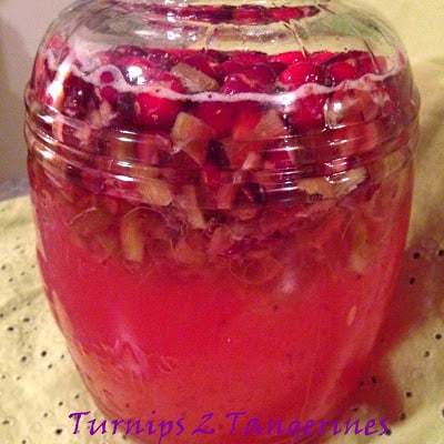 Cranberry Rhubarb Liqueur cranberry rhubarb