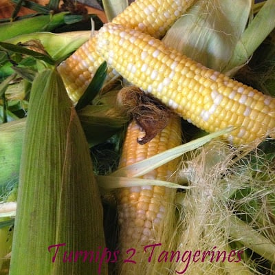 Kitchen Tip: How to Cut Corn Off the Cob kitchen tip