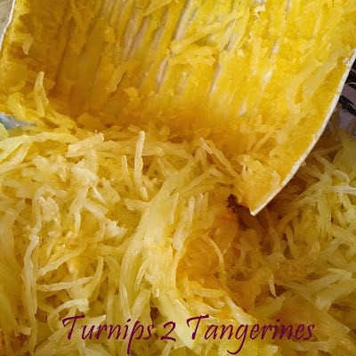 Spaghetti Squash ‘n Cheese spaghetti squash