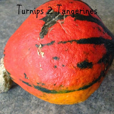 Red Hubbard Squash brown rice medley