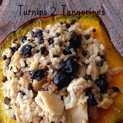 Brown Rice Medley, Blueberry and Chicken Stuffed Squash