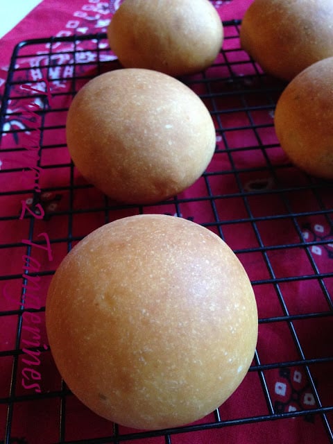 Sourdough Cheese Rolls