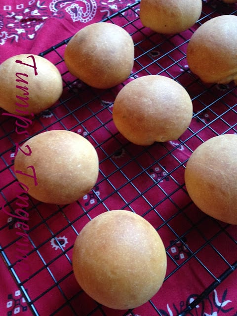 Sourdough Cheese Rolls