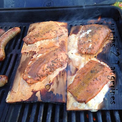 Island Jerk Salmon on Cedar Planks