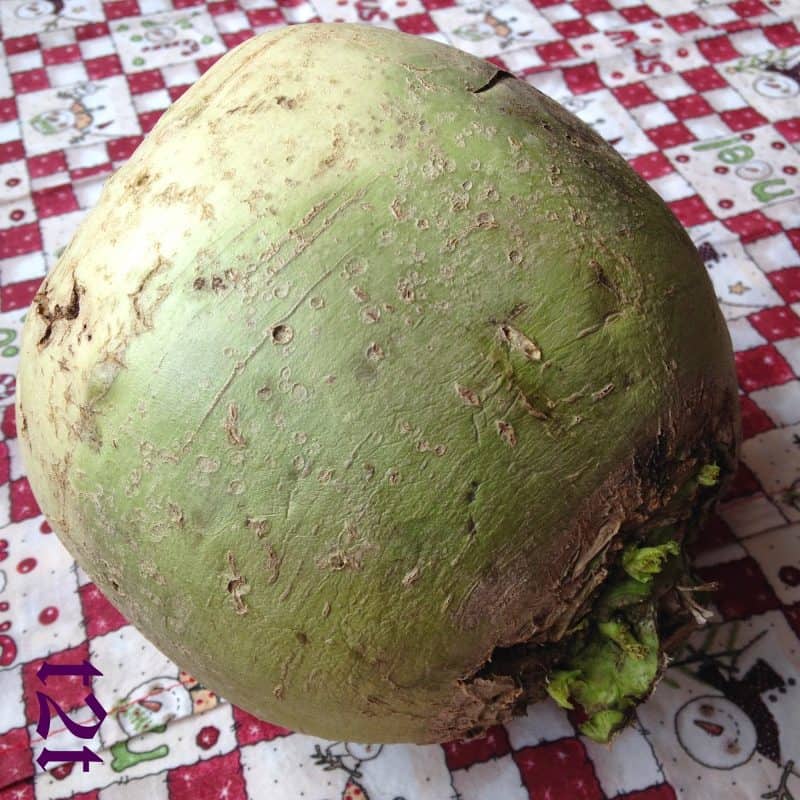 Watermelon Radish Salad