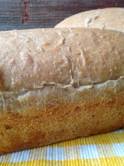 Sourdough Oatmeal Bread sourdough oatmeal