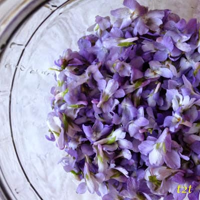violet vinegar