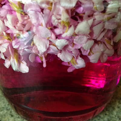 violet vinegar