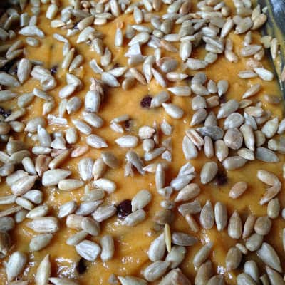 pumpkin chocolate chip