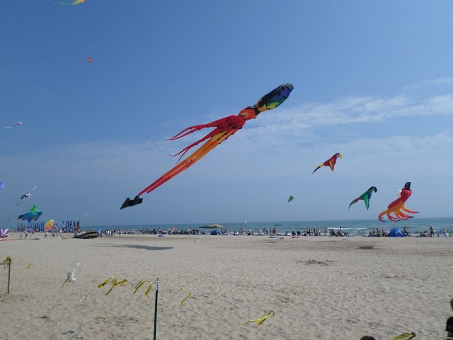 Kites Over Lake Michigan