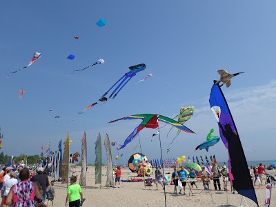 Kites Over Lake Michigan kites