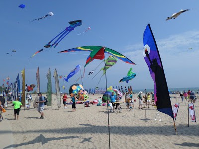Kites Over Lake Michigan kites