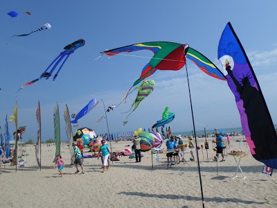 Kites Over Lake Michigan kites