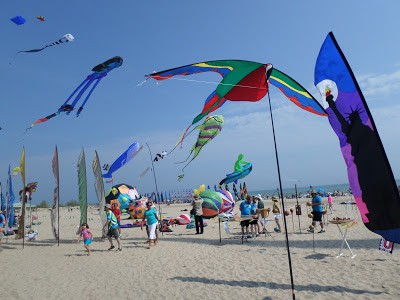 kites