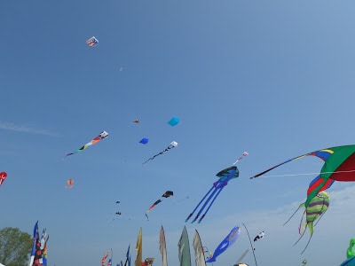 Kites Over Lake Michigan kites