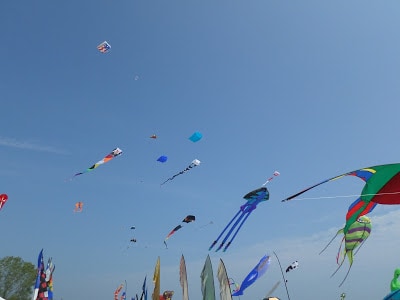 kites