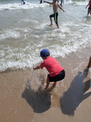 Kites Over Lake Michigan