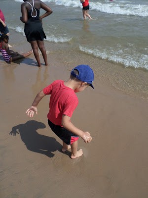 Kites Over Lake Michigan
