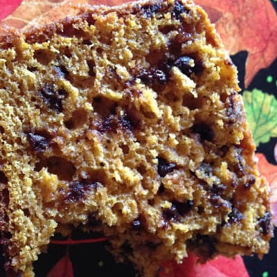 Pumpkin Spice Chocolate Chip Amish Friendship Bread pumpkin spice