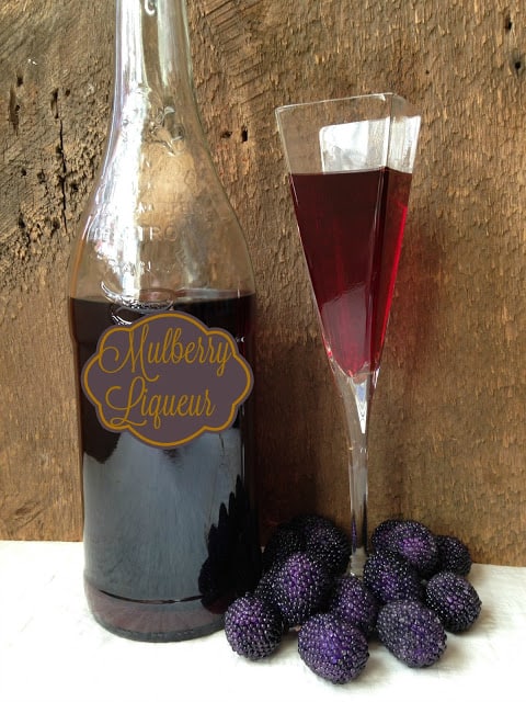 Mulberry Rhubarb Liqueur mulberry rhubarb