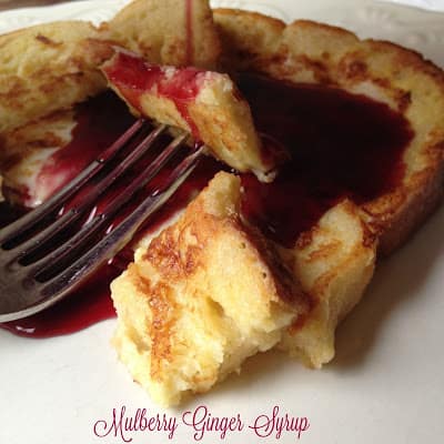 Mulberry Ginger Syrup syrup