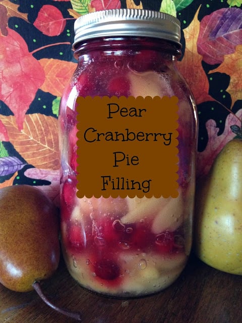 Pear Cranberry Pie Filling pear cranberry pie