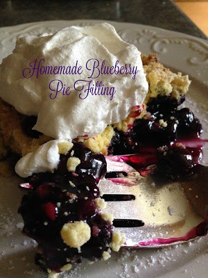 Homemade Blueberry Pie Filling homemade blueberry pie