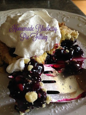 homemade blueberry pie